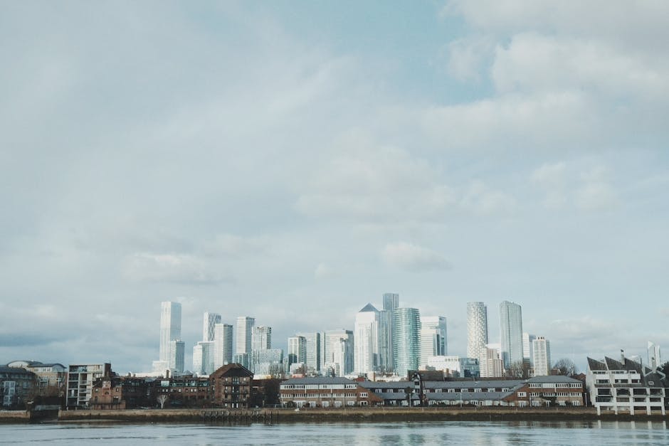 A view of a modern urban waterfront with a calm river in the foreground, reflecting the surrounding cityscape. In the shallow water near the shore, a small dog is standing, partially submerged, with i